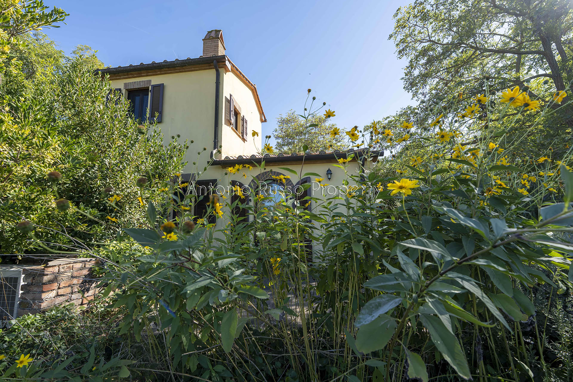 /api/file/public/265183/29603