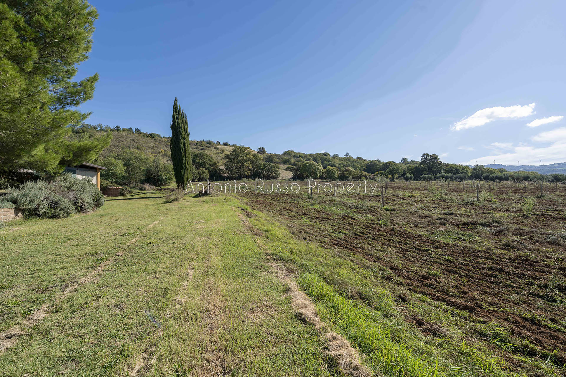 /api/file/public/265183/29604