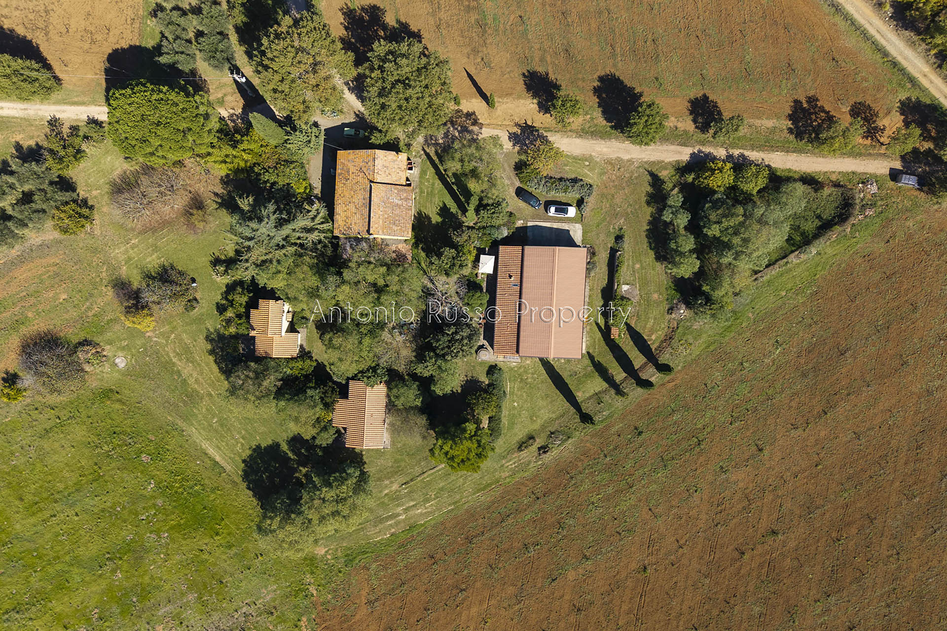 /api/file/public/265183/29605