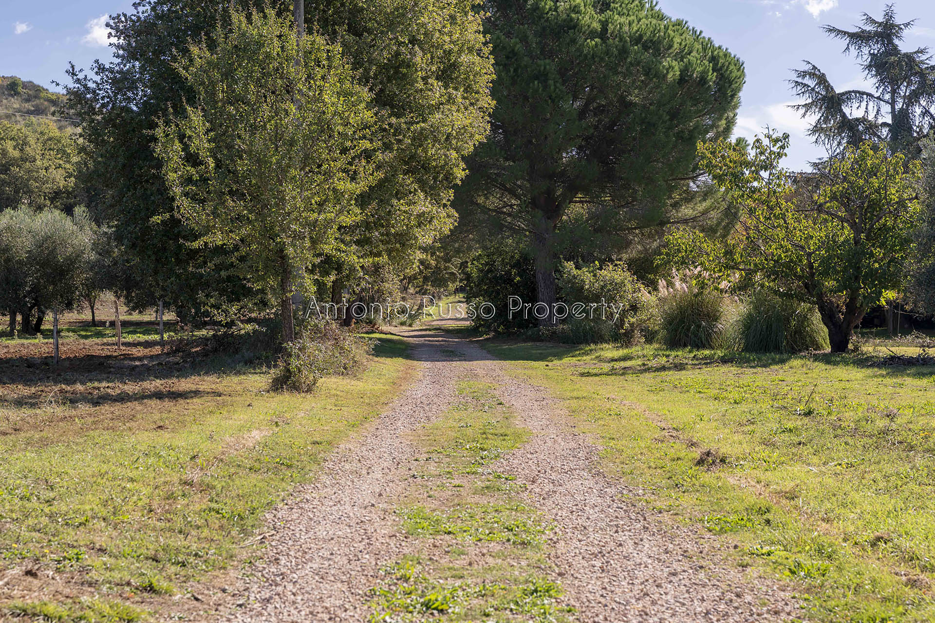 /api/file/public/265183/29608