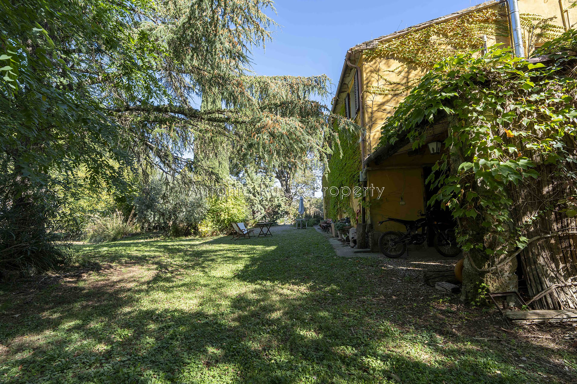 /api/file/public/265183/29610