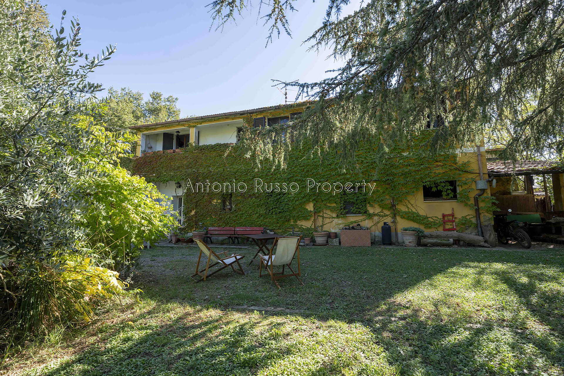 /api/file/public/265183/29612