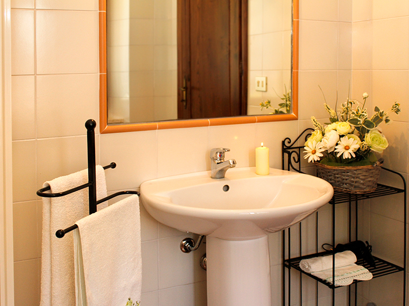 /api/file/public/265185/29658