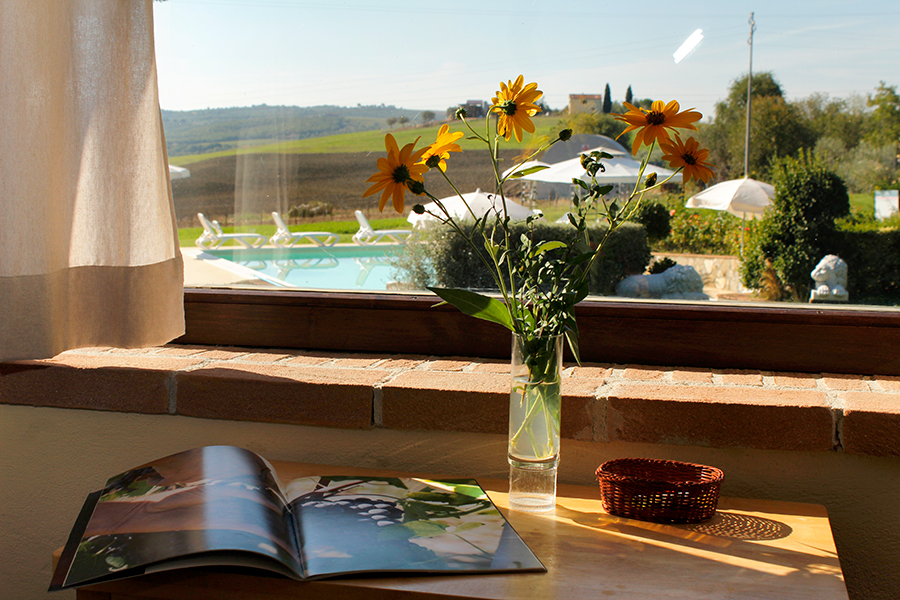 /api/file/public/265185/29667