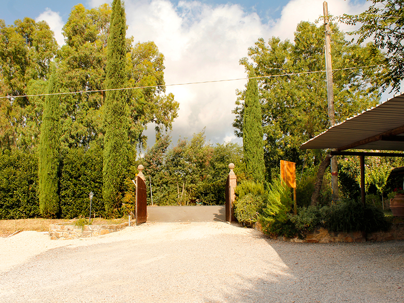 /api/file/public/265185/29675