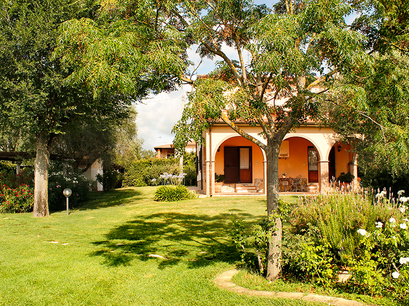 /api/file/public/265185/29677