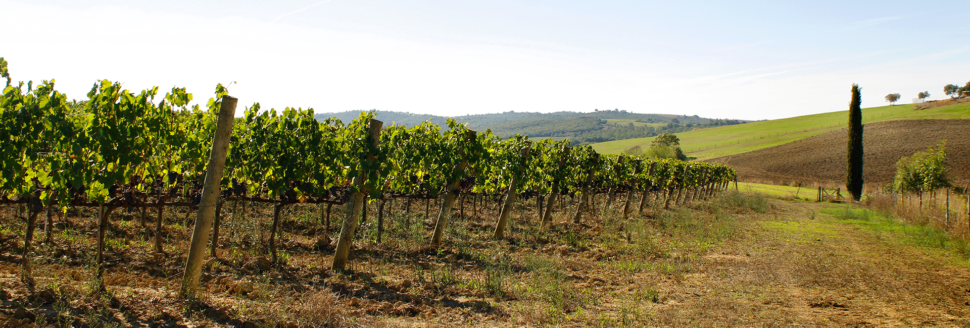 /api/file/public/265185/29680