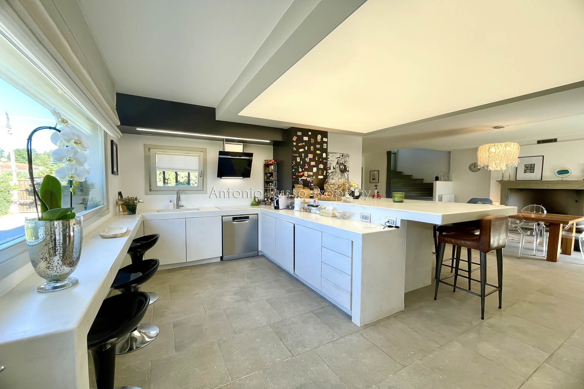 /api/file/public/265186/29699