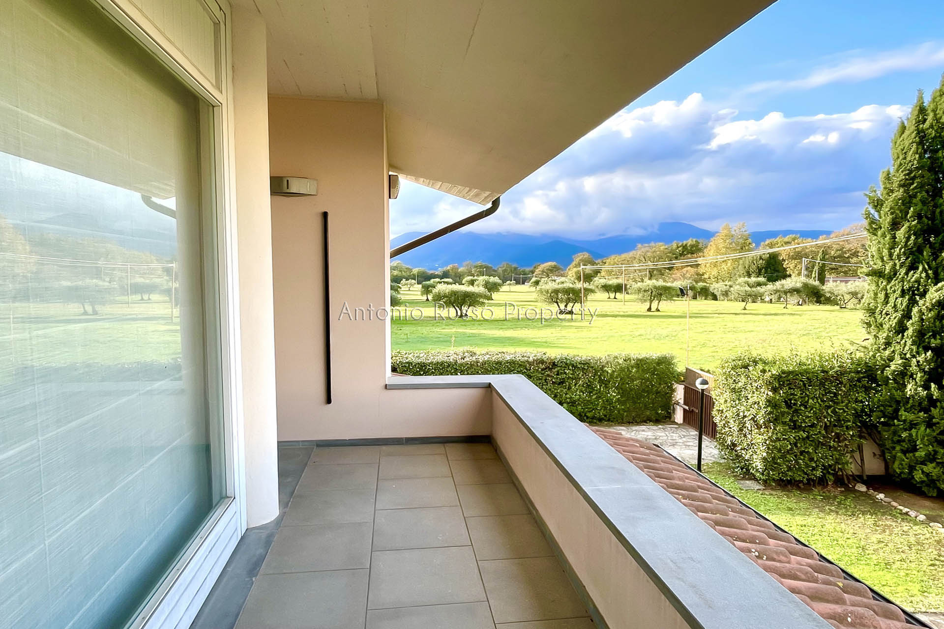 /api/file/public/265186/29706