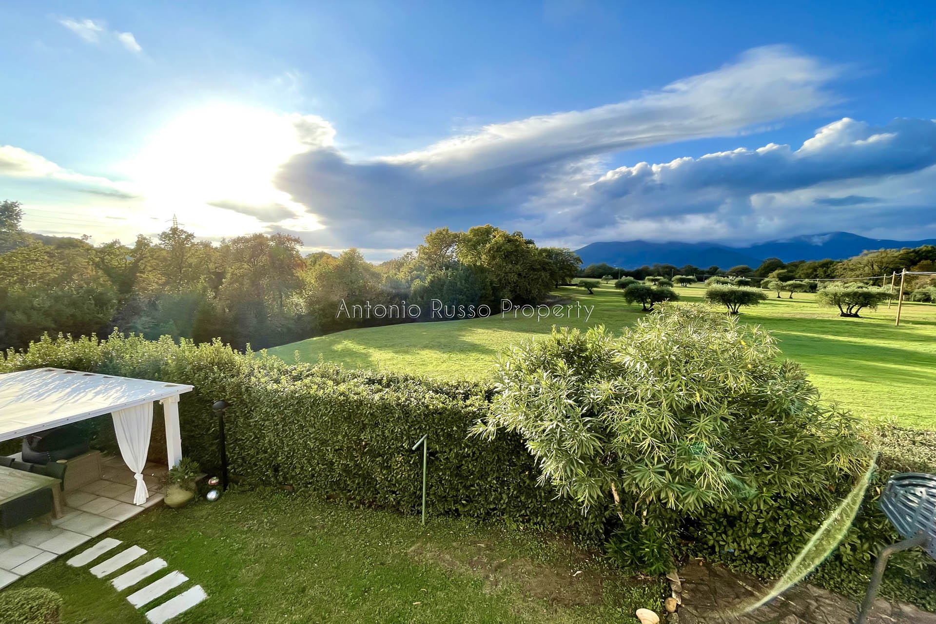 /api/file/public/265186/29721