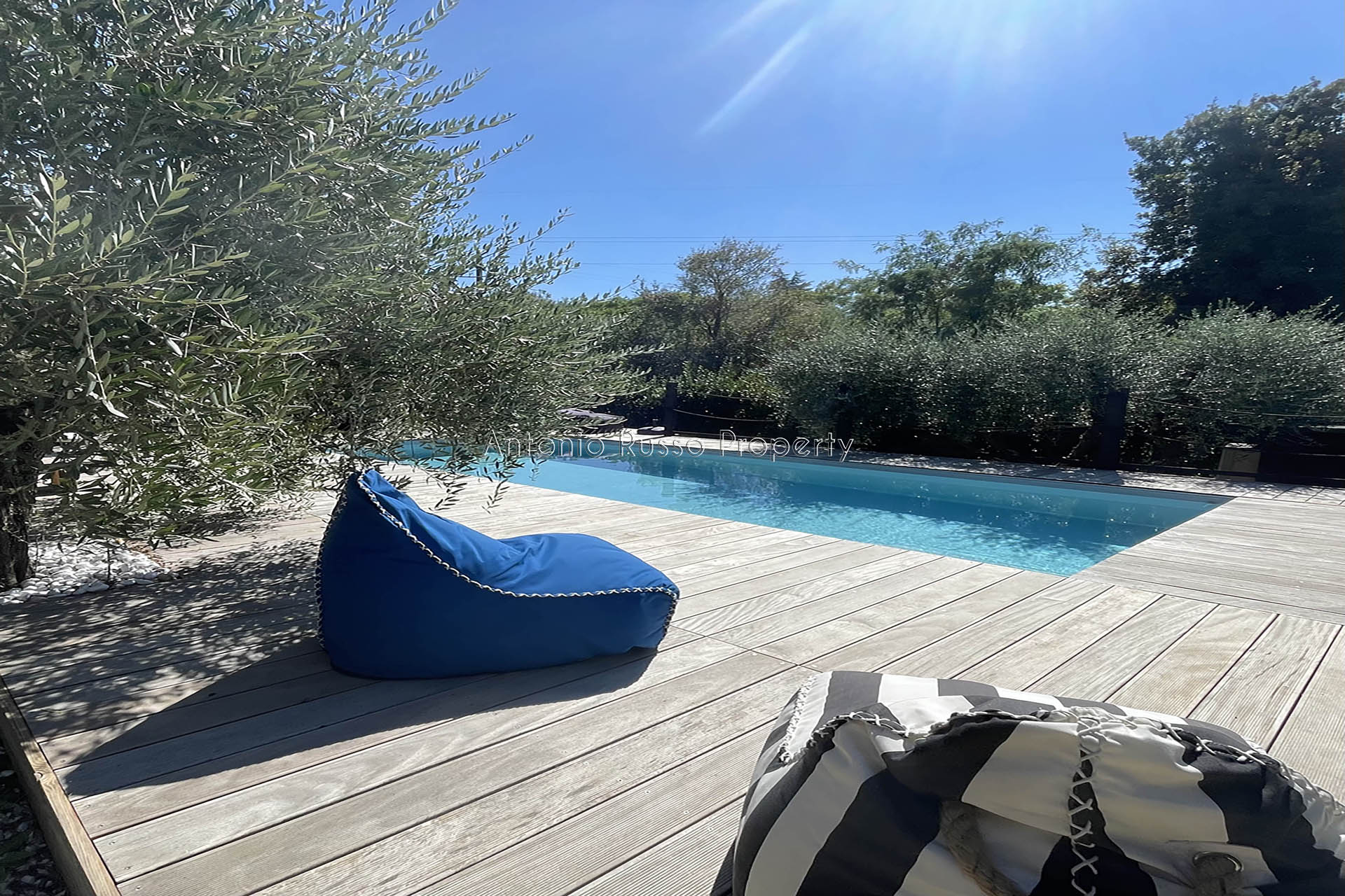 /api/file/public/265186/29722