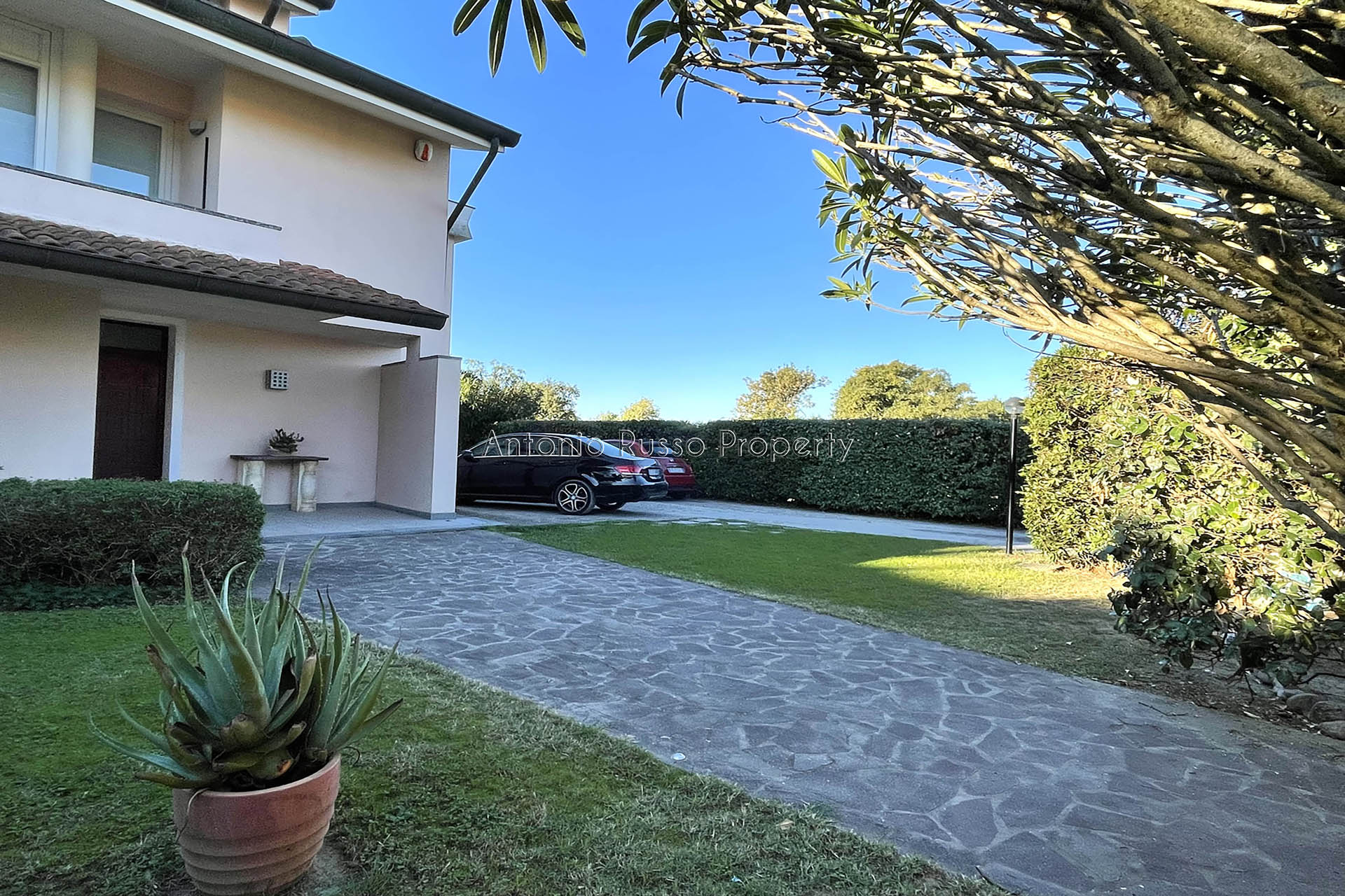 /api/file/public/265186/29723