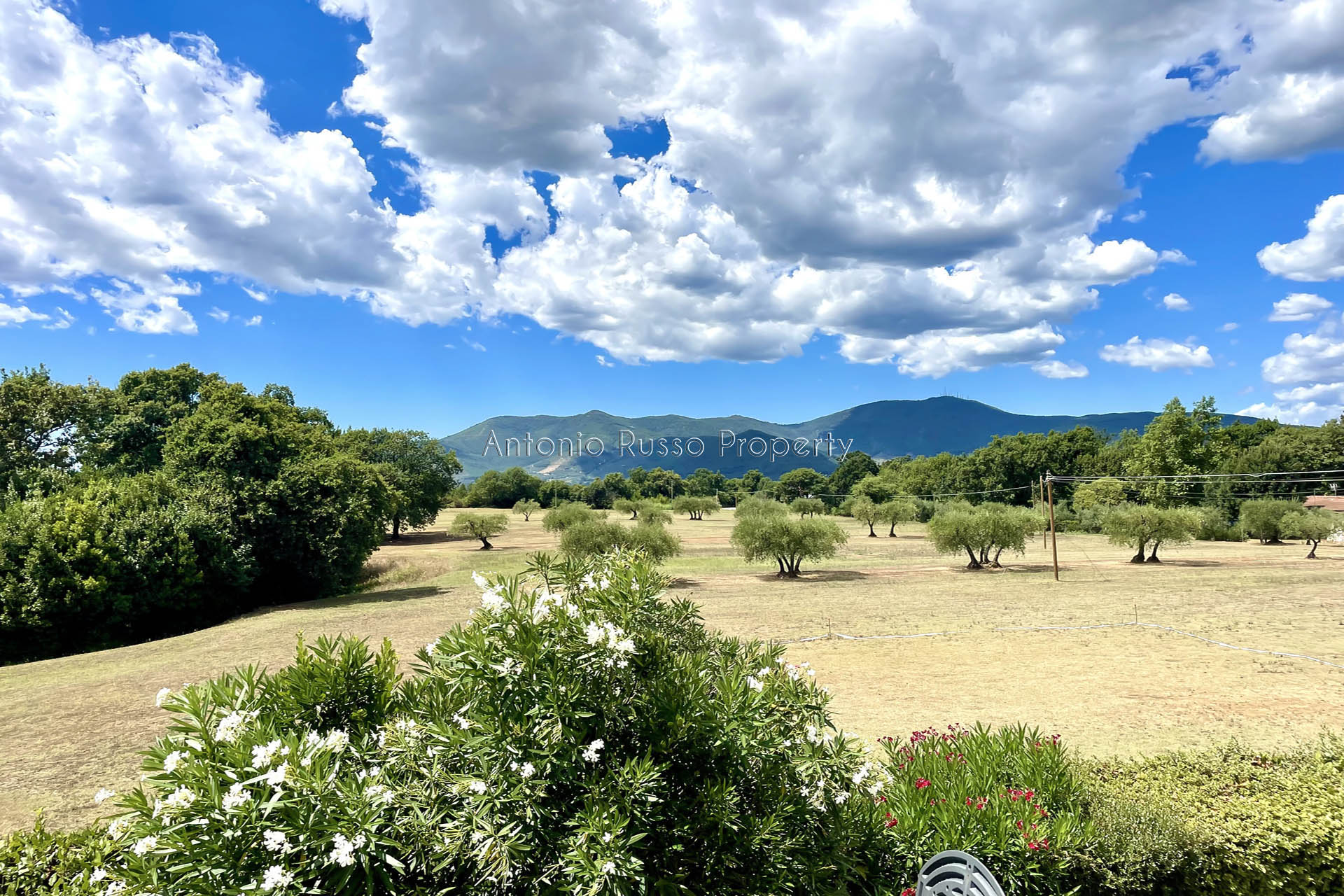 /api/file/public/265186/29725