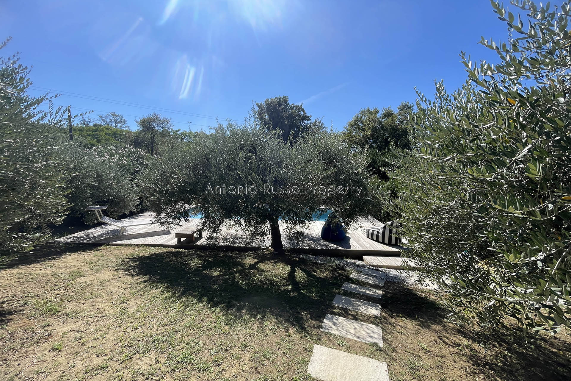 /api/file/public/265186/29727