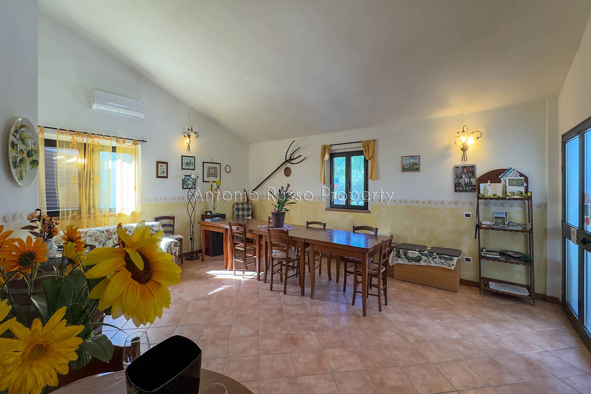 /api/file/public/265187/29729