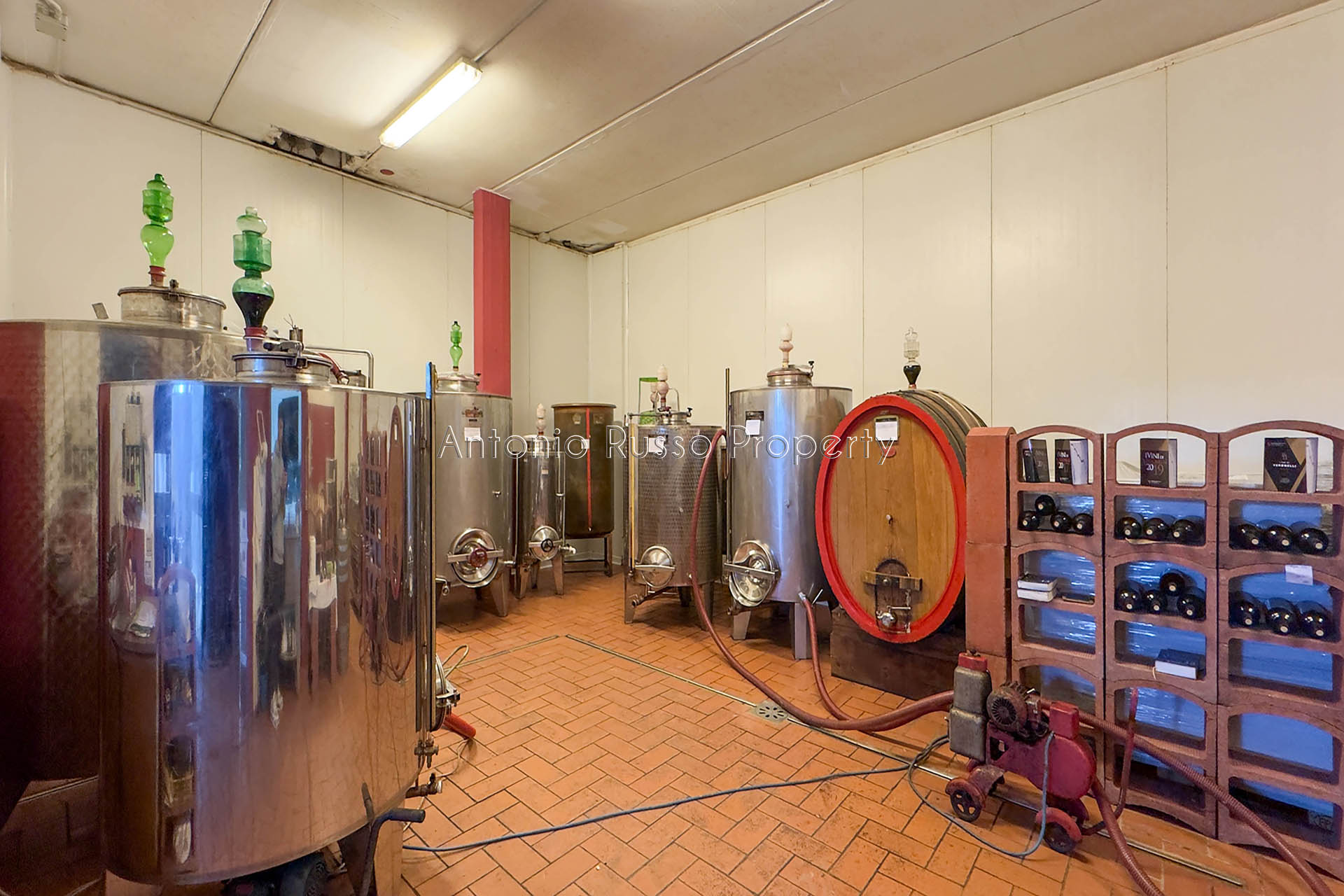 /api/file/public/265187/29739