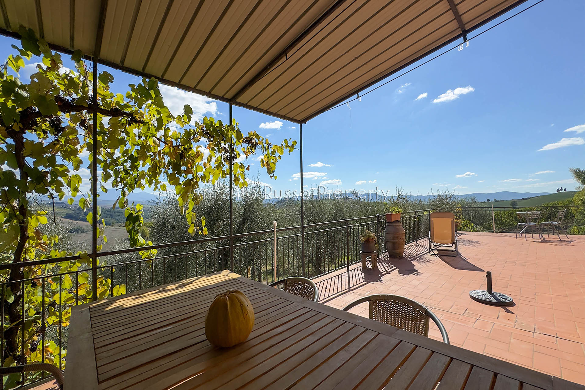 /api/file/public/265187/29766