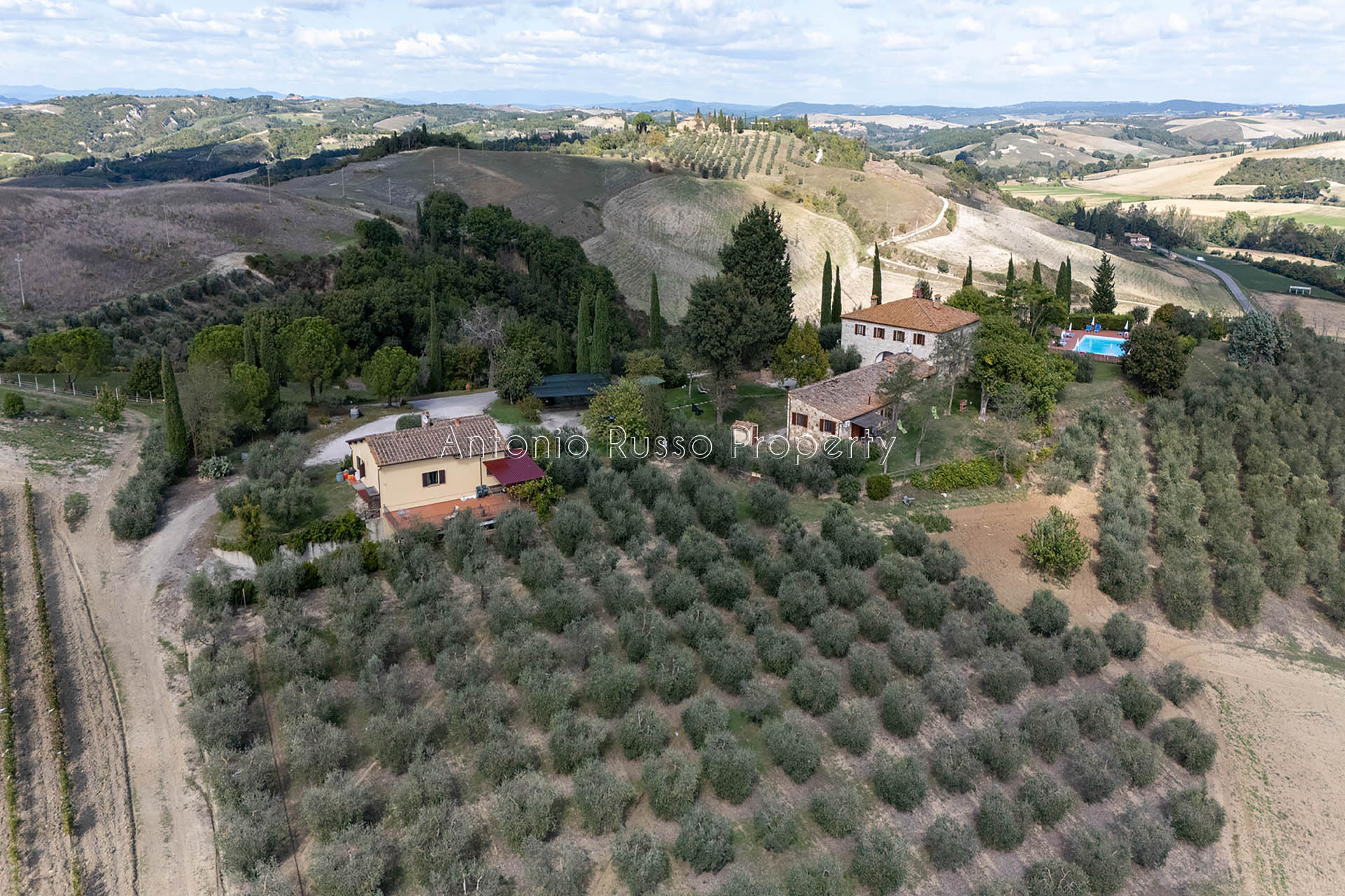 /api/file/public/265187/29767