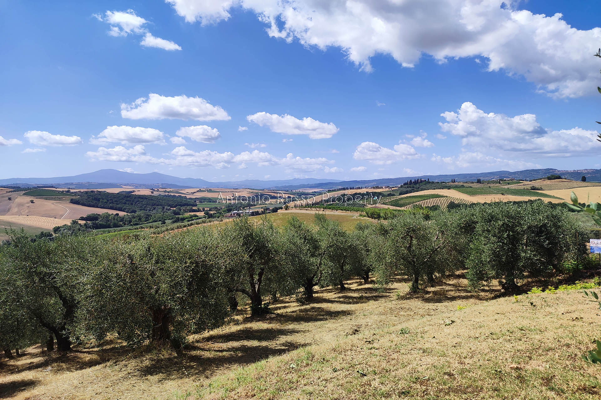 /api/file/public/265187/29771