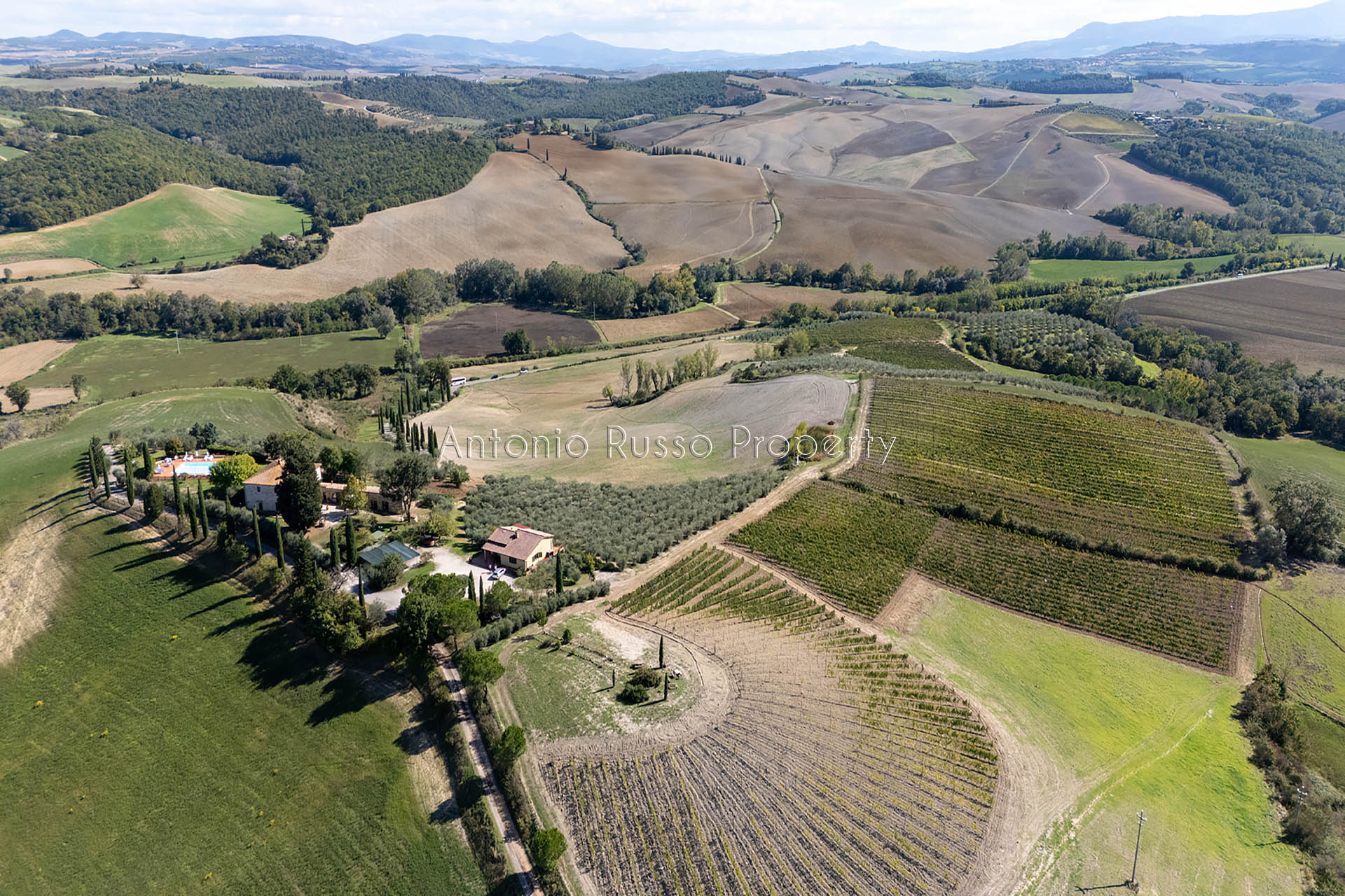 /api/file/public/265187/29772