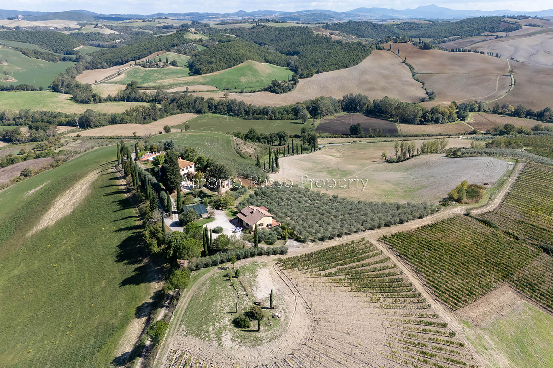 /api/file/public/265187/29773