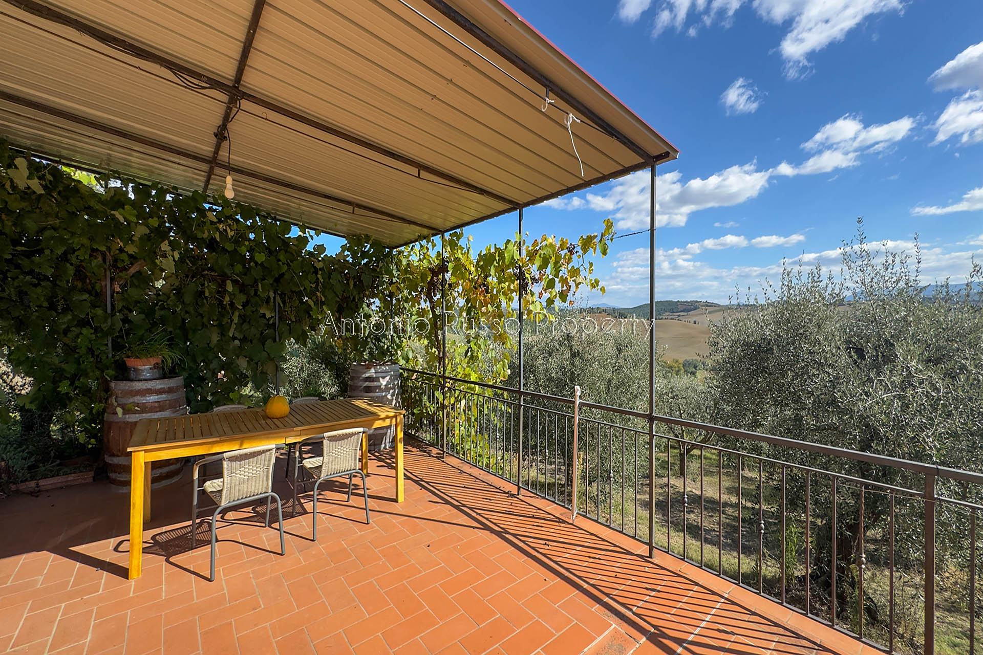 /api/file/public/265187/29776