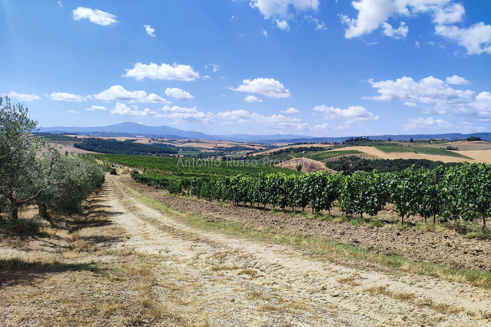 /api/file/public/265187/29777