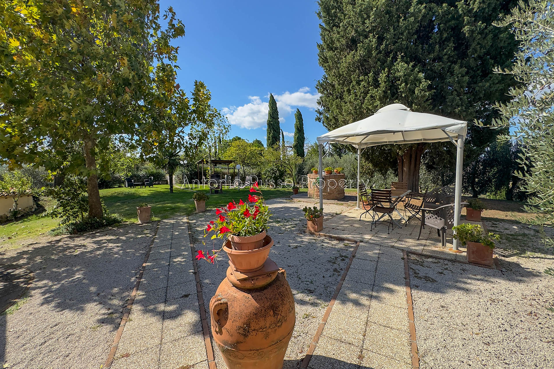 /api/file/public/265187/29780