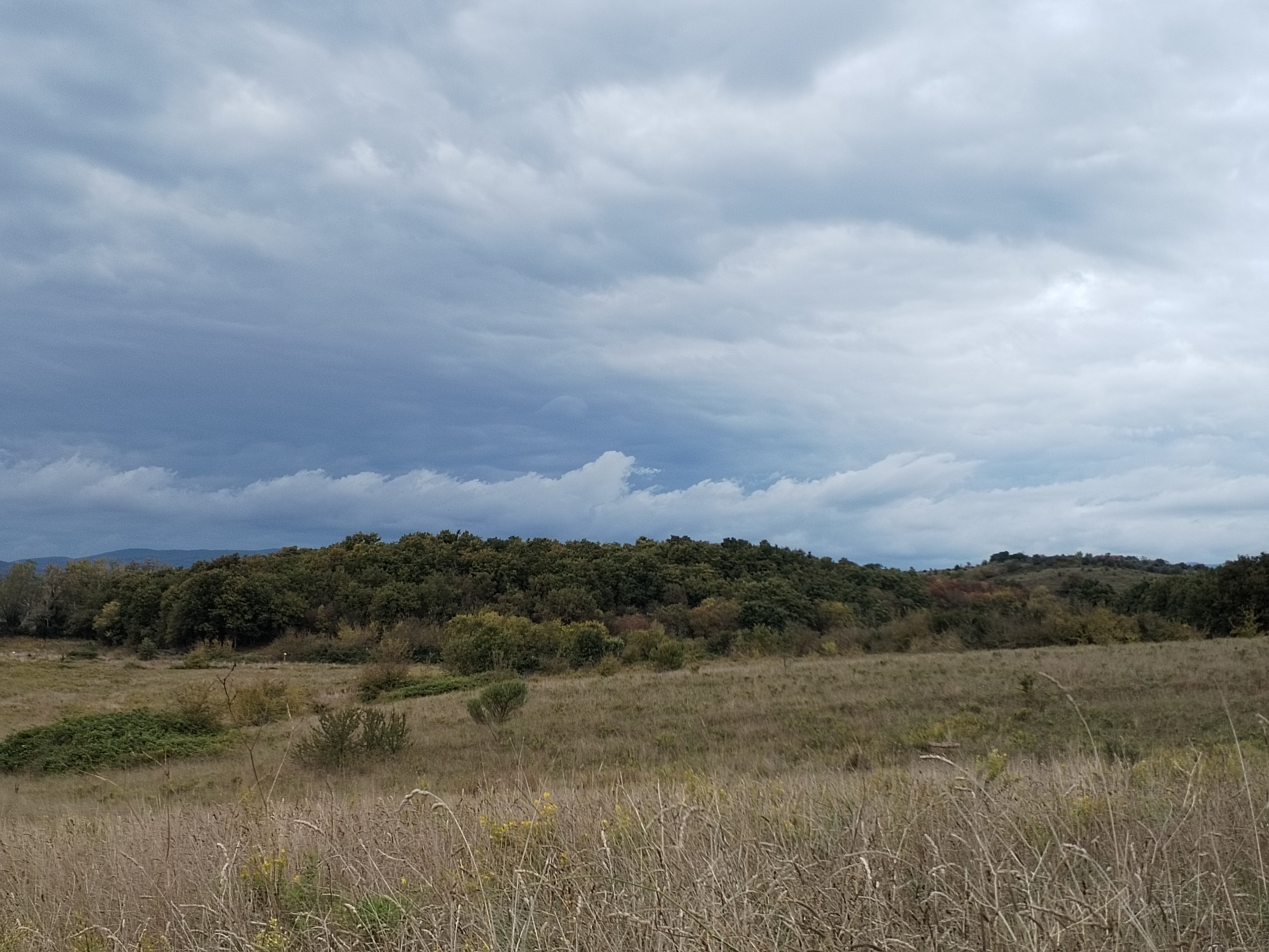 /api/file/public/265193/29810