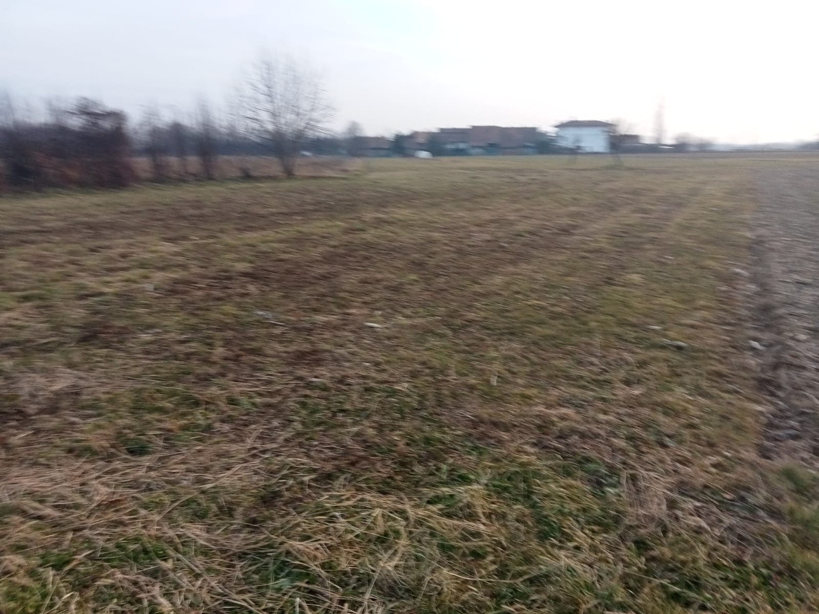 /api/file/public/265194/29812