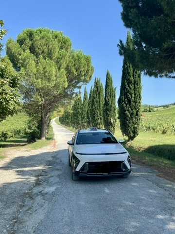 /api/file/public/265197/29818