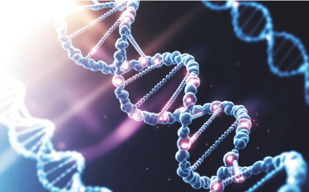 /api/file/public/265215/29851