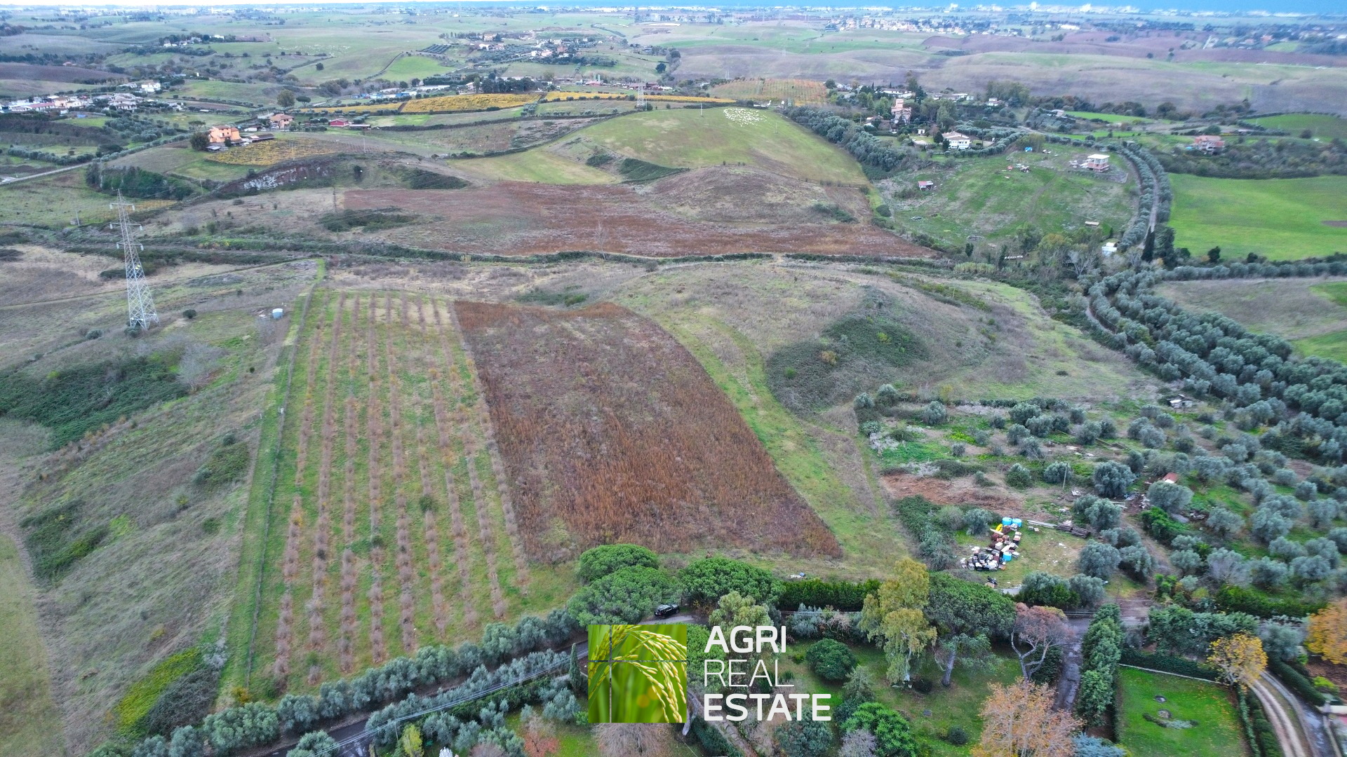 /api/file/public/265217/29858