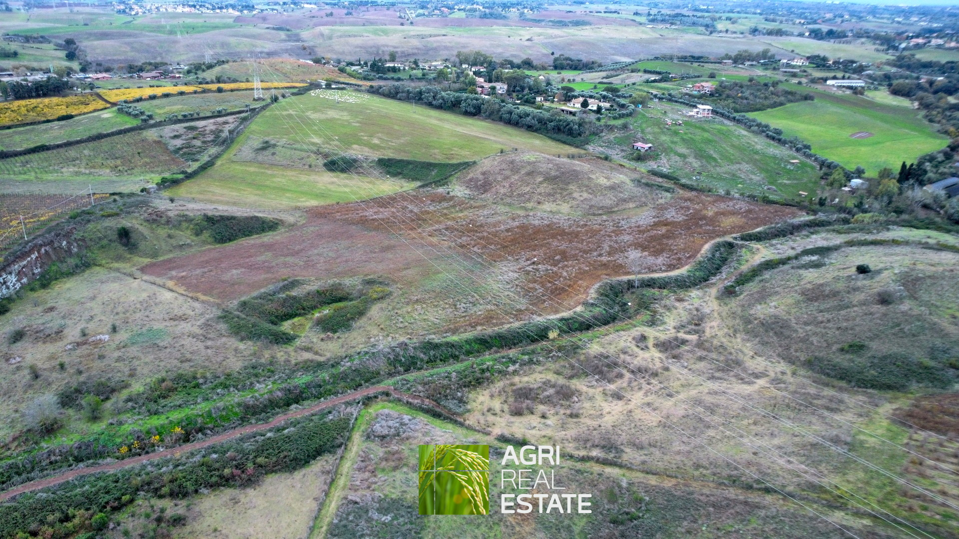 /api/file/public/265217/29859