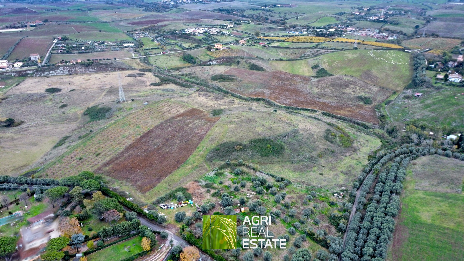 /api/file/public/265217/29860