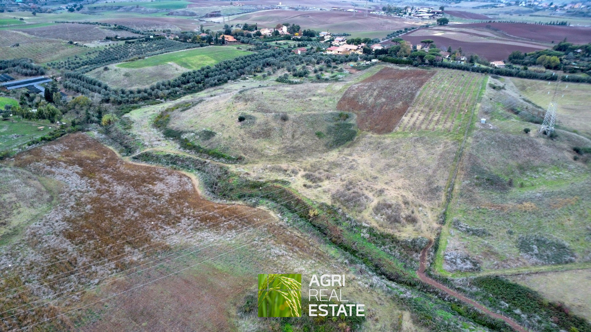 /api/file/public/265217/29861