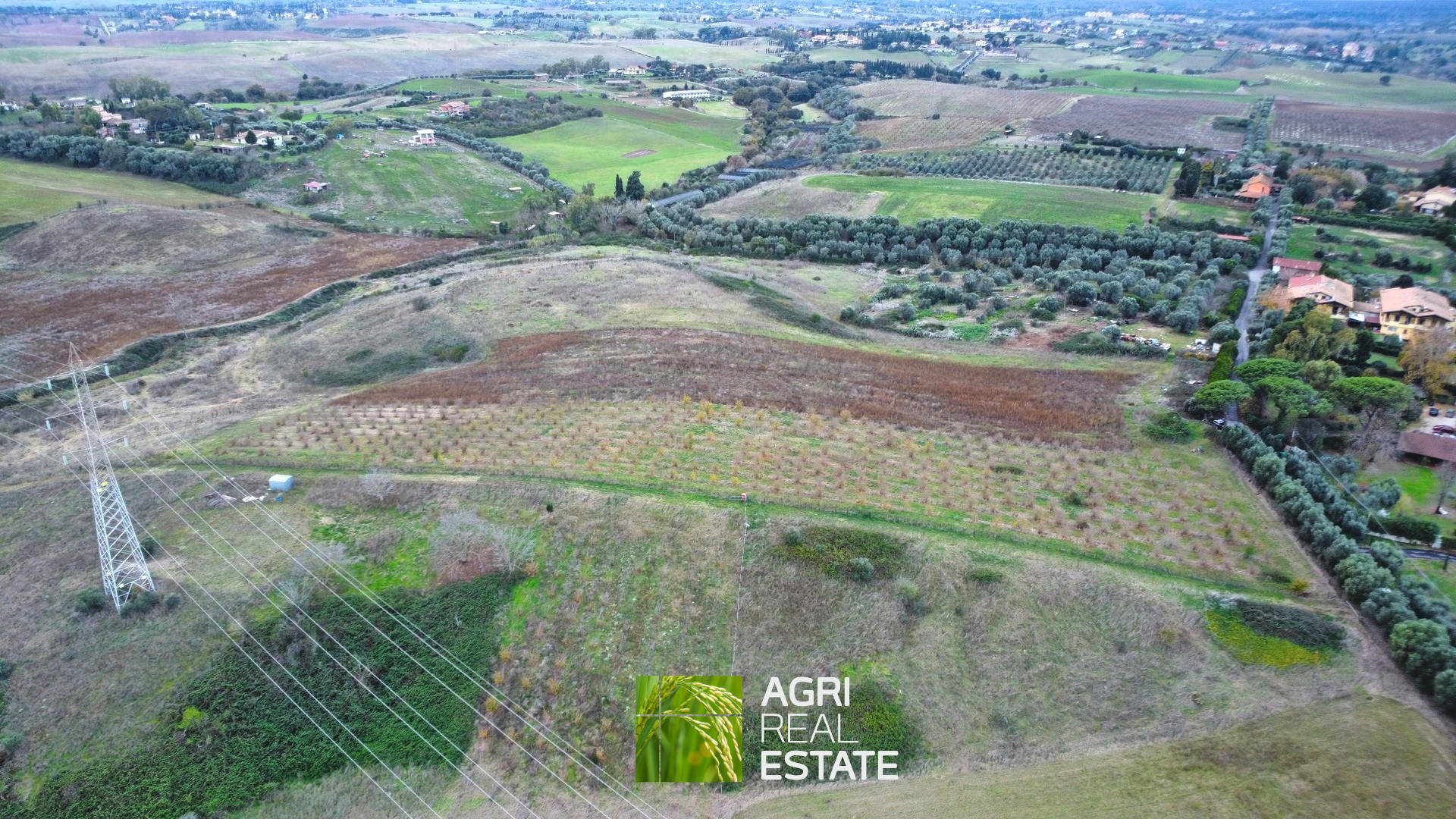 /api/file/public/265217/29862