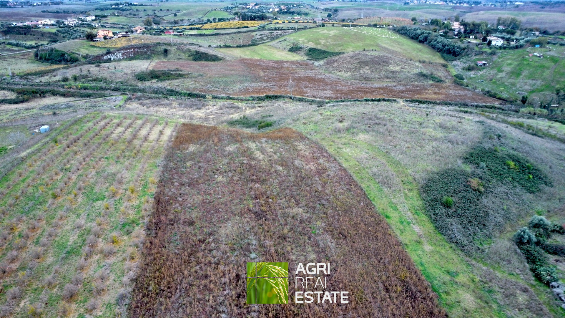 /api/file/public/265217/29863