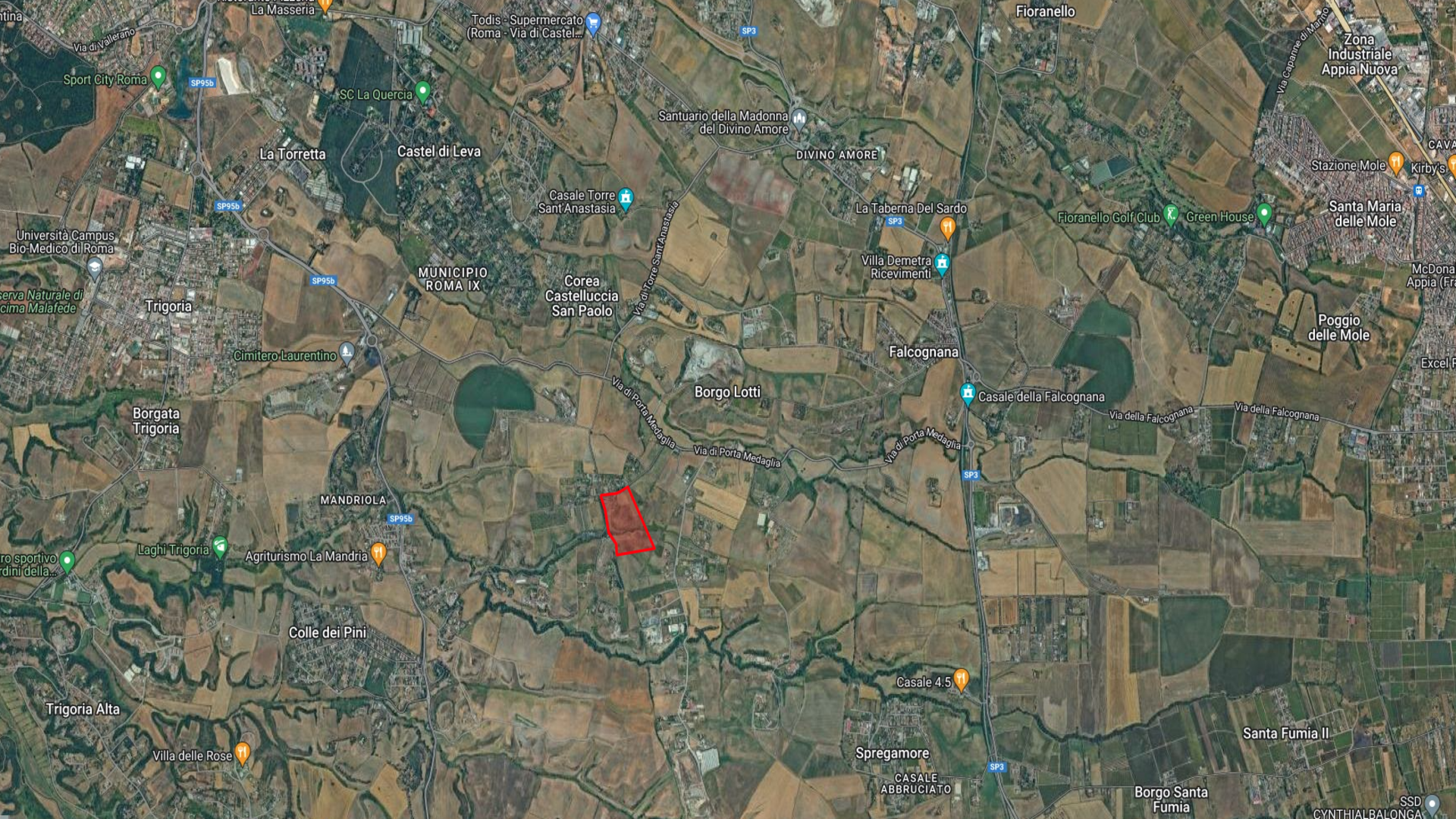 /api/file/public/265217/29870