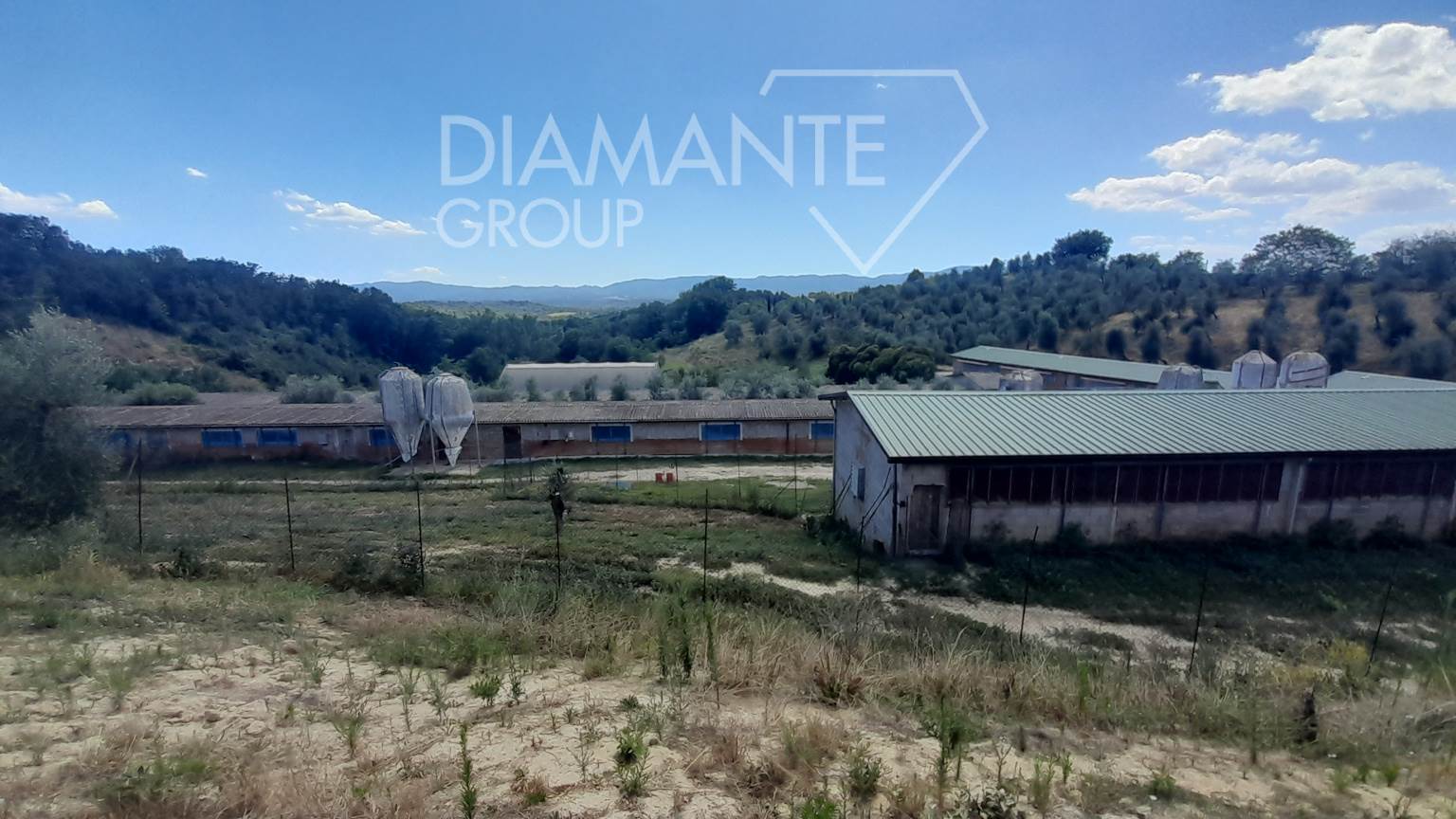 /api/file/public/265227/29884