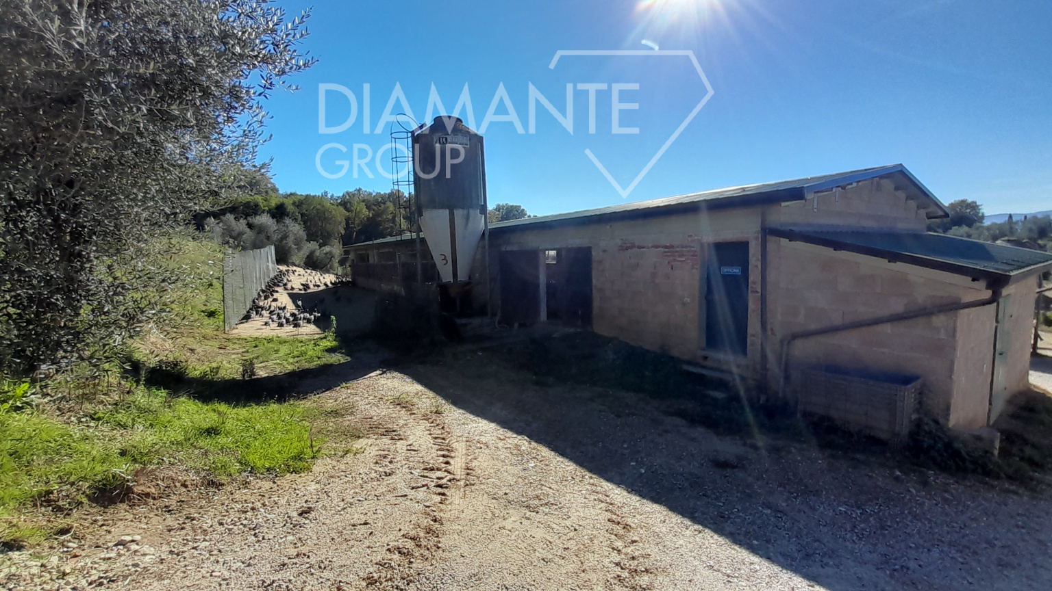 /api/file/public/265227/29967