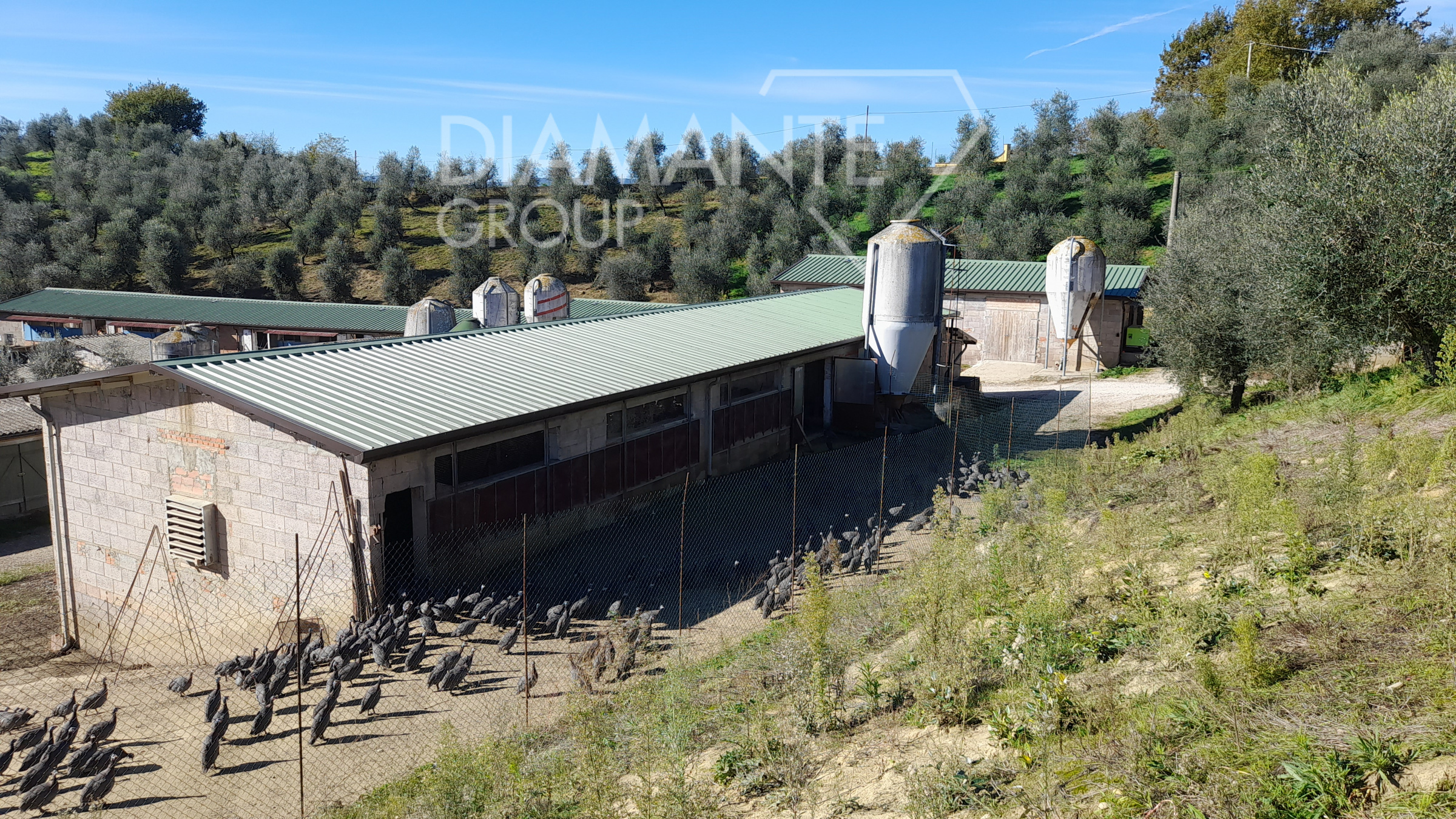 /api/file/public/265227/29972