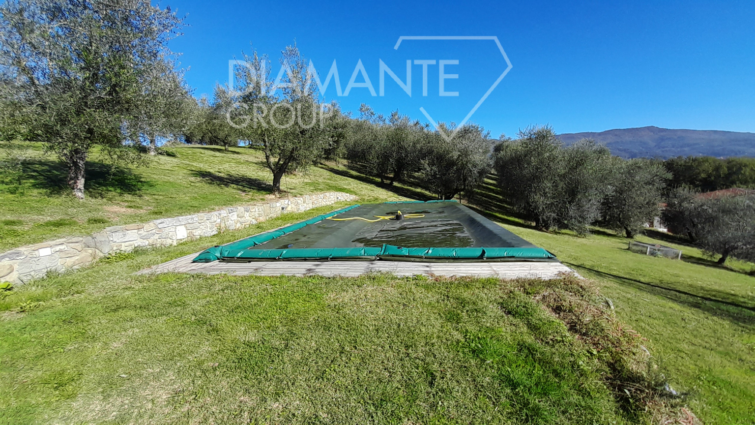 /api/file/public/265227/29978