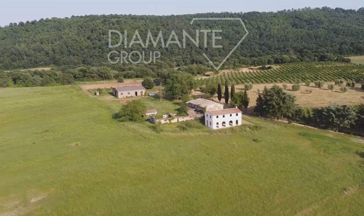 /api/file/public/265228/29886