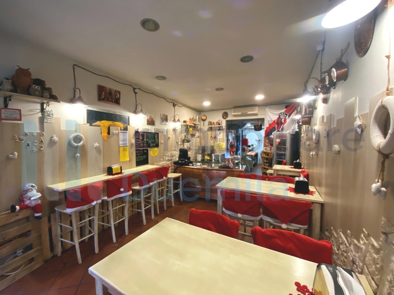 /api/file/public/265236/29895