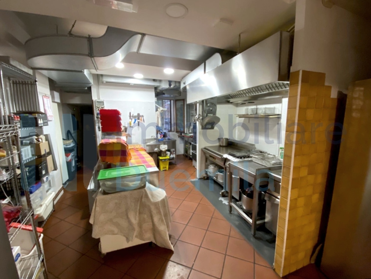 /api/file/public/265236/29896