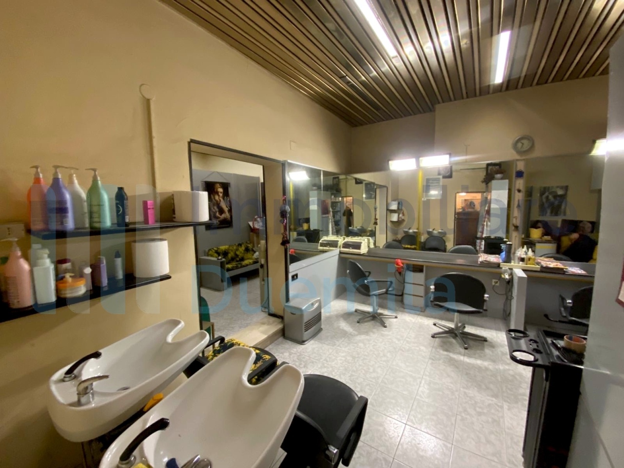 /api/file/public/265240/29903