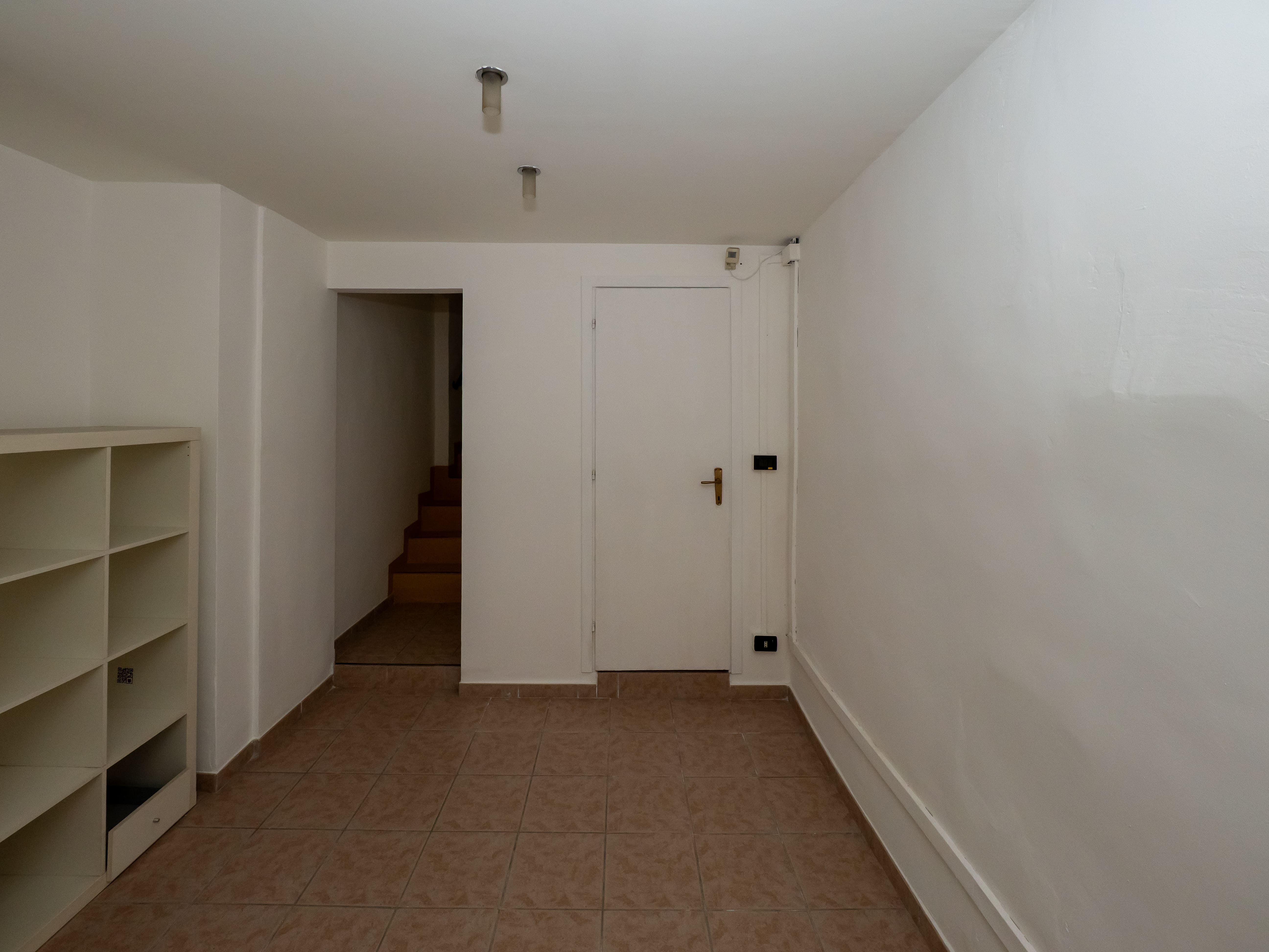 /api/file/public/265259/30007