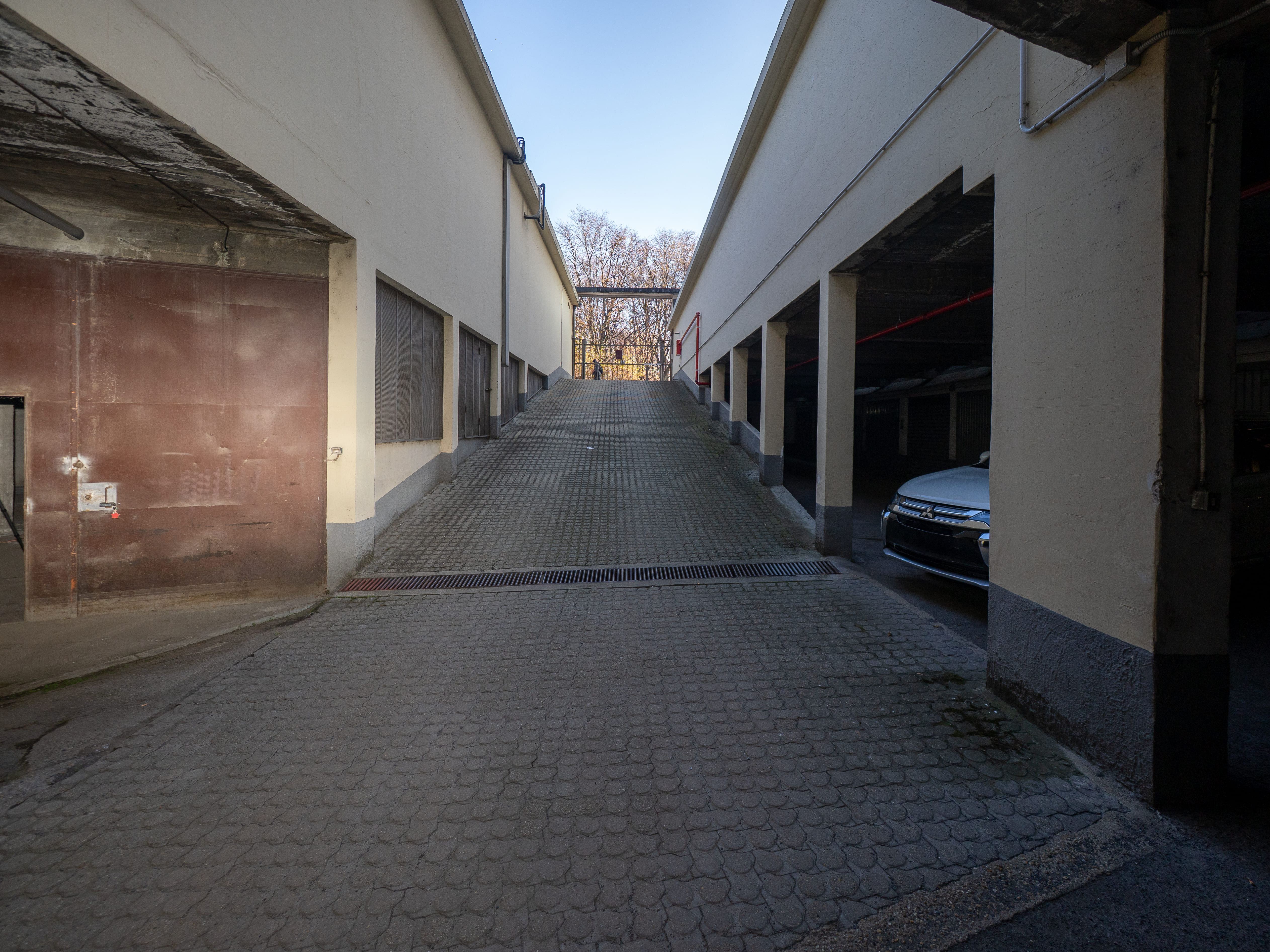 /api/file/public/265260/30015