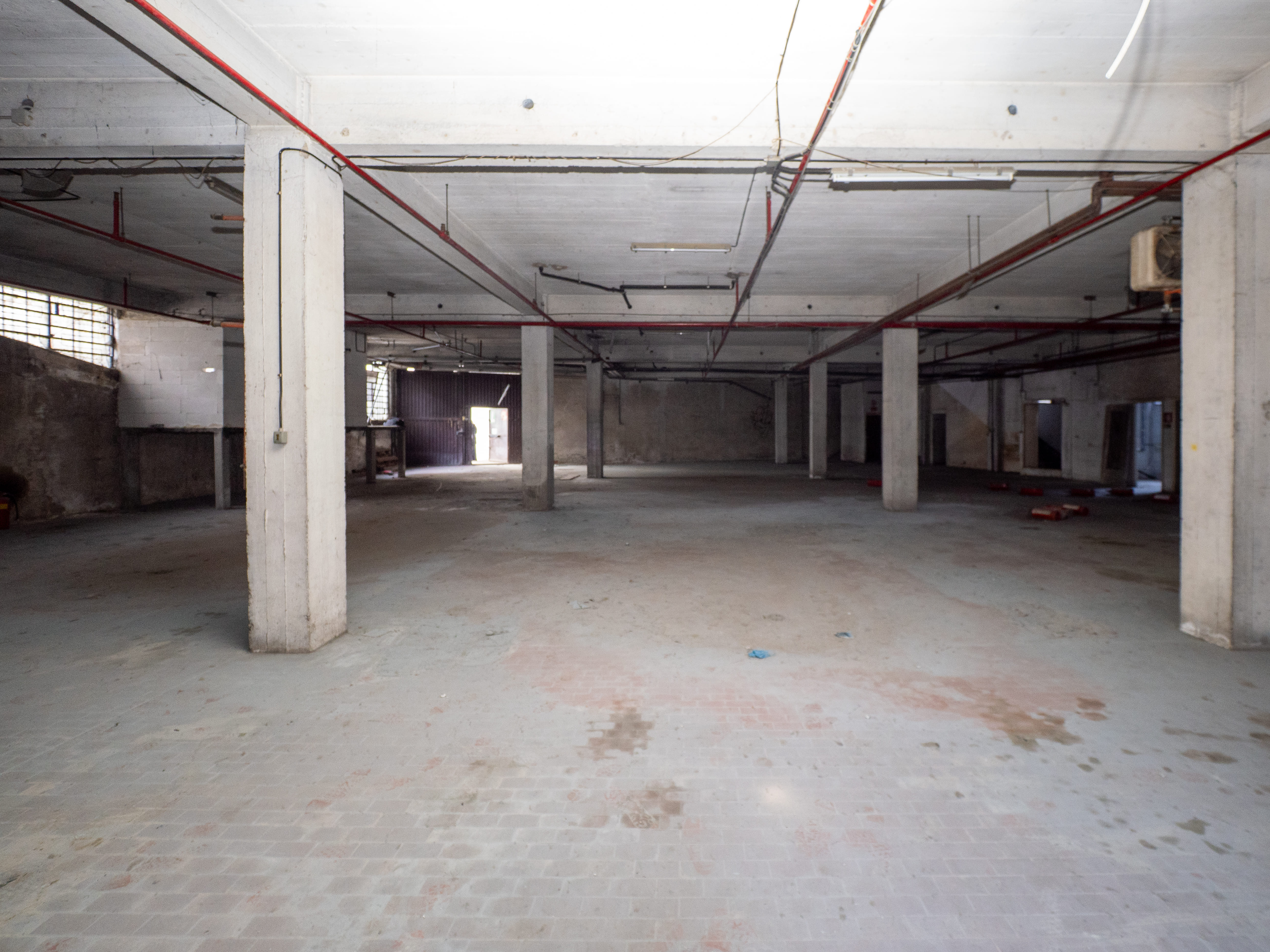 /api/file/public/265260/30018